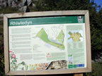 Rhiwledyn orme country nature reserve